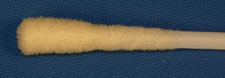 Swab, Wrapped, FoamBerkshire Corporation
